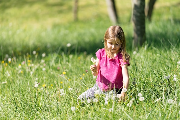 Блондинка собирает цветы одуванчика, дует, сидя на зеленой траве в поле