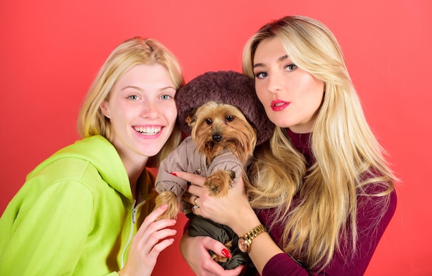 Blonde girls adore little cute dog. Women hug yorkshire terrier. Cute pet dog. Yorkshire terrier is very affectionate loving dog that craves attention. Yorkshire Terrier breed loves socialization.