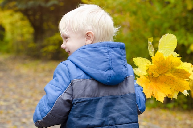 Blonde jongen in het herfstpark. Achteraanzicht