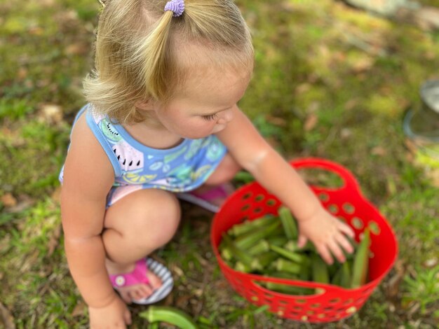 사진 잔디에 있는 금발 어린 소녀가 정원 채소 바구니를 바라보고 있다