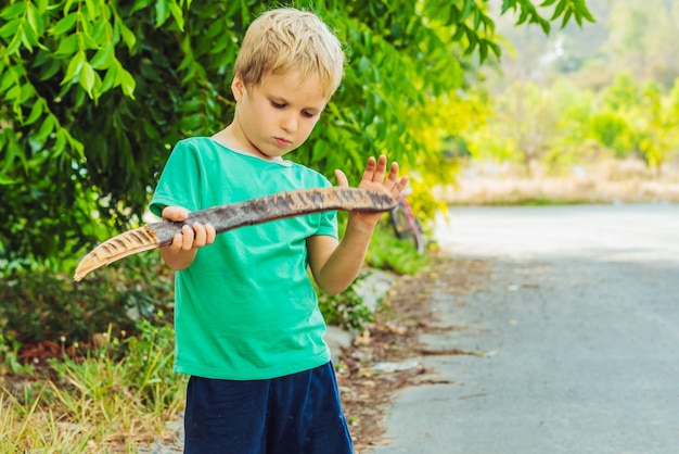 Blonde ondeugende jongen grappenmaker met sproeten onderzoekt spelen met grote houten pod artistieke emoties gezichtsuitdrukking gebaren Familie relatie micro momenten van de kindertijd natuurlijke opvoeding