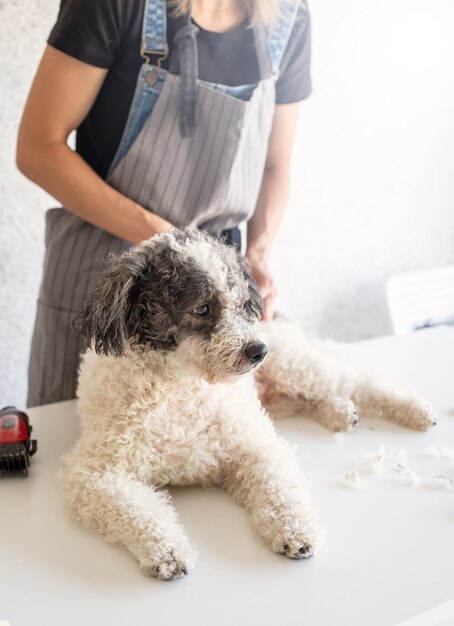 Blonde vrouw die een hond thuis verzorgt