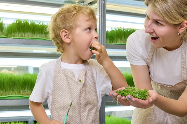 Блондинка улыбается и угощает симпатичного мальчика сочной вкусной зеленью на фоне полок фермы микрозелени Концепция вкусной и здоровой пищи