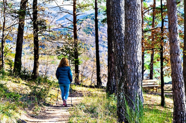 Ribes de Freser 계곡, El Ripolles, Girona의 숲을 걷는 금발의 여자.