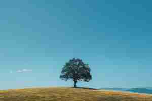 Photo blonely tree on a hill