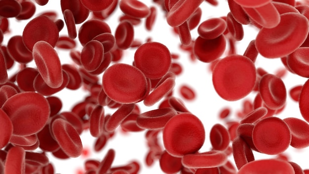 Blood cells on white background