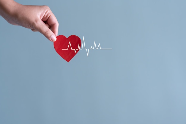 Photo blood donation or heart surgery concept hands hold blood and heart shape papers with heart rate beat