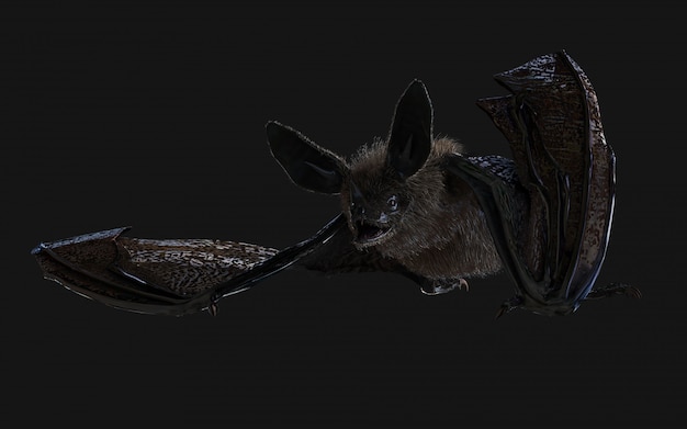 blood thirsty vampire bat swooping on dark