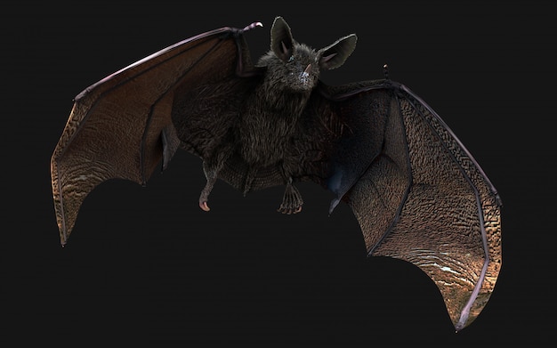 blood thirsty vampire bat swooping on dark