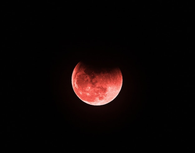 Photo bloody moon in the black sky