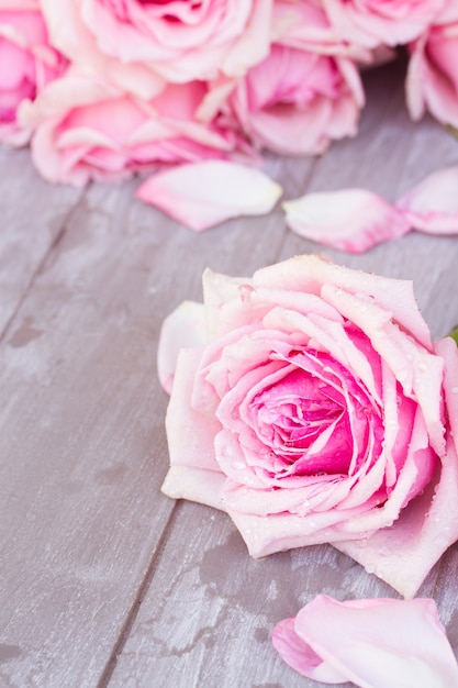 Bloomin pink  roses with petals  laying  on wooden  table