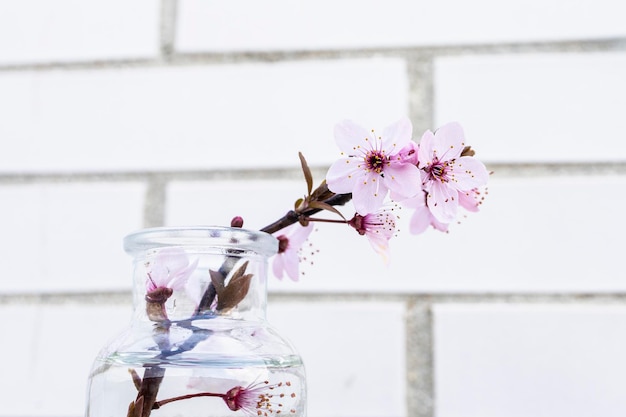 Blooming almond branch in a small glass vase with water