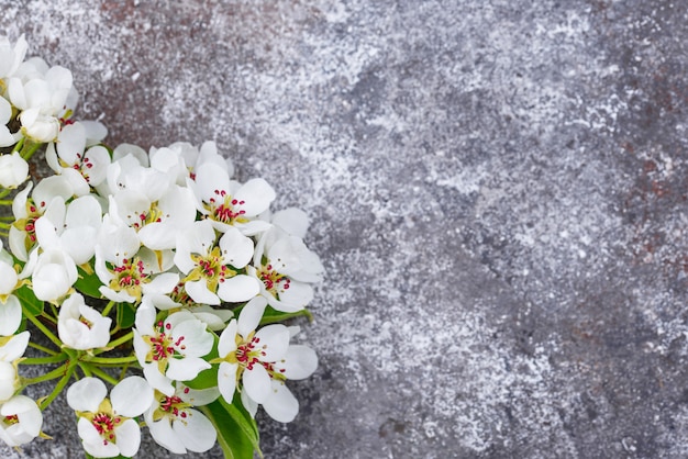 Blooming apple tree. Spring background