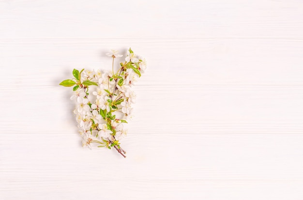 写真 白い表面に咲く桜の枝