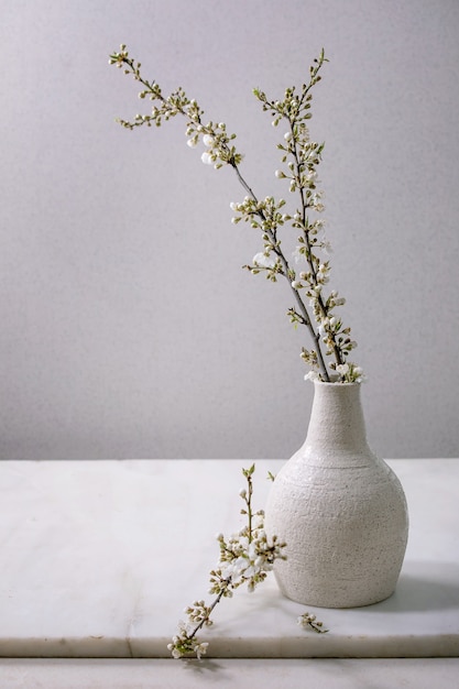 Blooming cherry branches in craft white porcelain vase on white marble table.