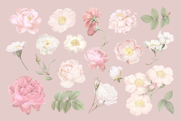 Blooming elegant floral design collection