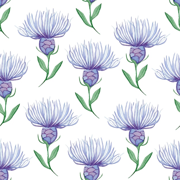 Blooming field cornflowers watercolor seamless pattern