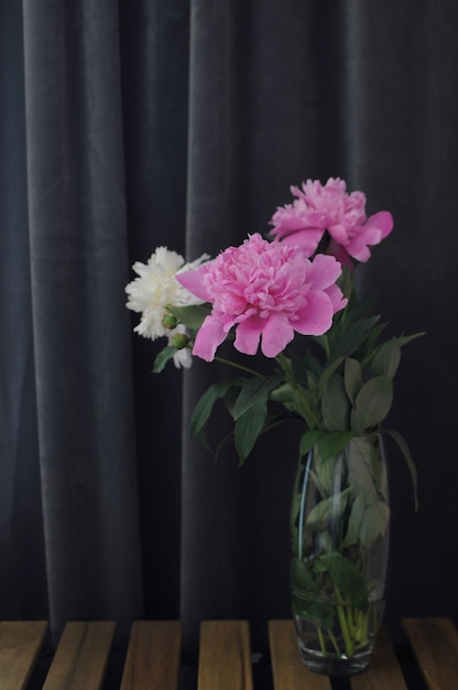 Blooming flower in vase. Fluffy peonies bouquet on dark grey background with copyspace