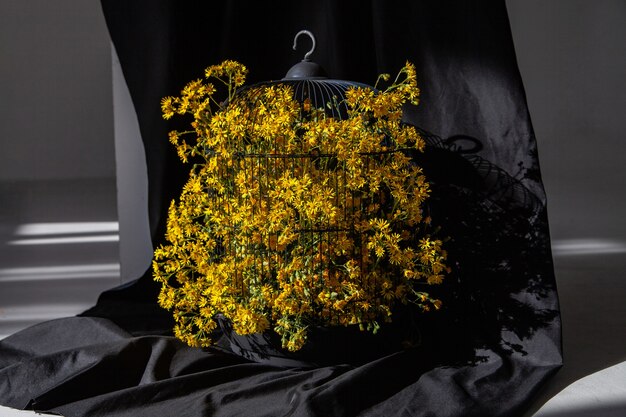 Blooming flowers in bird cage against black background