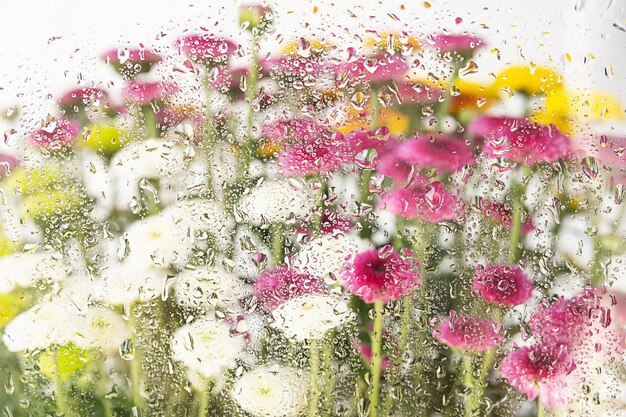 Blooming flowers behind the wet window glass