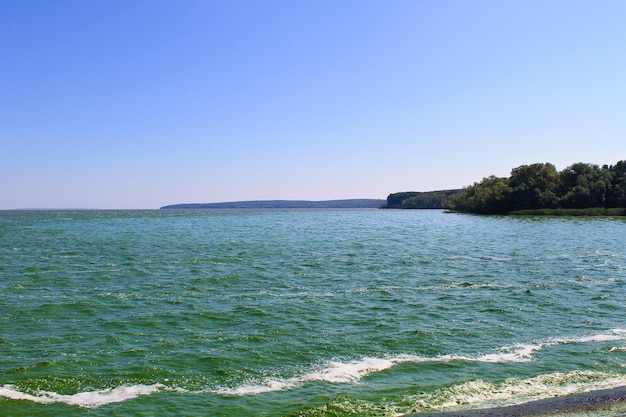 Цветущая зеленая вода в водохранилище на реке Днепр