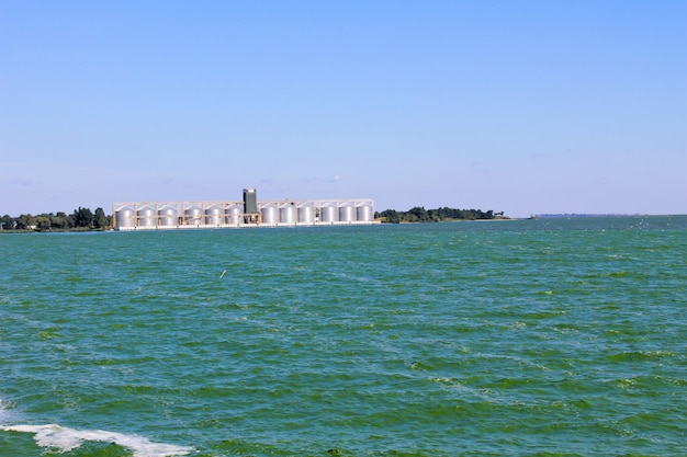 Blooming green water in reservoir on Dnieper river