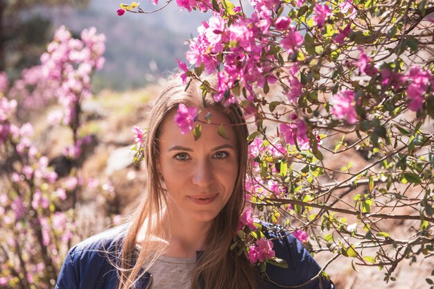 Blooming maralnik rhododendron in Altai mountains