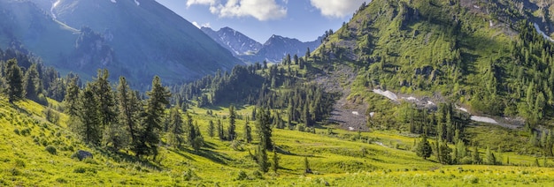 Blooming mountain valley on spring morning