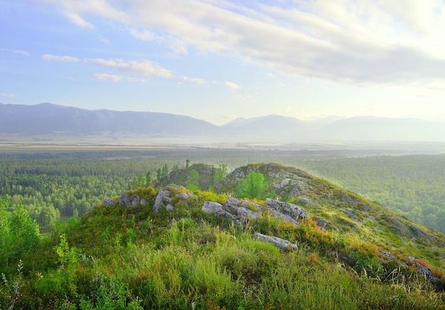 A blooming mountainside in the morning light under a blue cloudy sky in the Altai mountains. Siberia, Russia