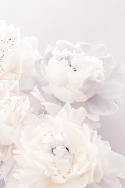 Фото Цветущие цветы пиона как цветочное искусство на фиолетовом фоне, свадебный декор и роскошный брендинг