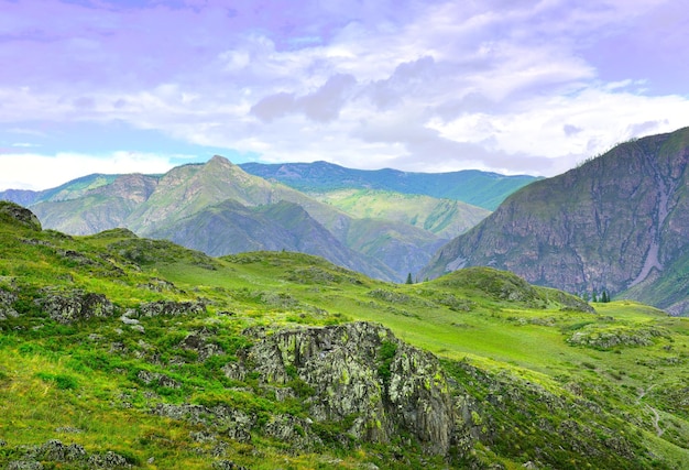 Blooming slopes in summer a rocky ridge in the distance Siberia Russia