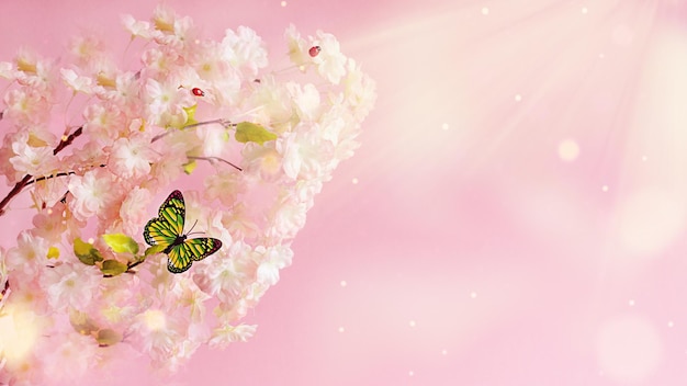 ピンクの花と太陽フレアの背景を持つ咲く木色とりどりの蝶と春の花