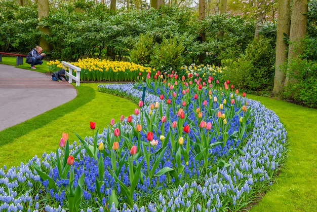 Keukenhof 공원에서 피는 튤립 Lisse Holland 네덜란드