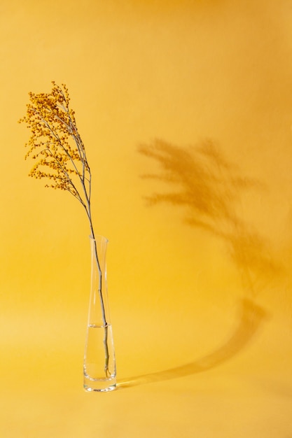 Blooming twig in glass vase against yellow background