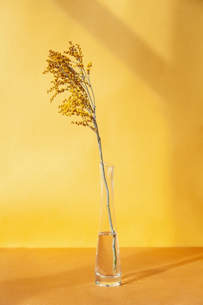 Blooming twig in glass vase against yellow background