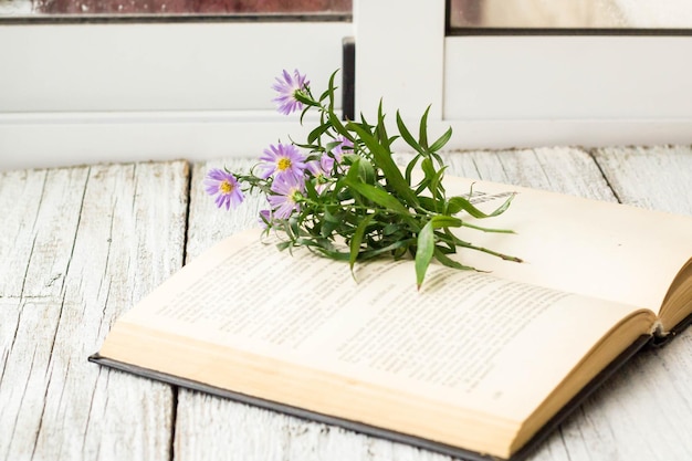 Fiori di astri vergini in fiore sul libro aperto sulla finestra sfondo estivo autunnale