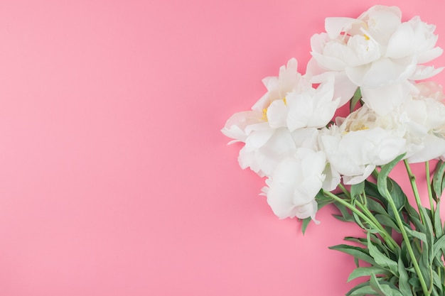 Photo blooming white peony flowers