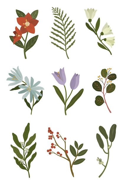 冬天開花的植物透明 png