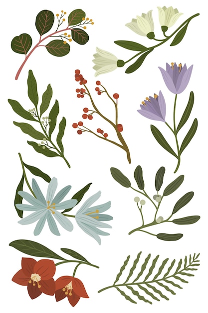 冬天開花的植物透明 png