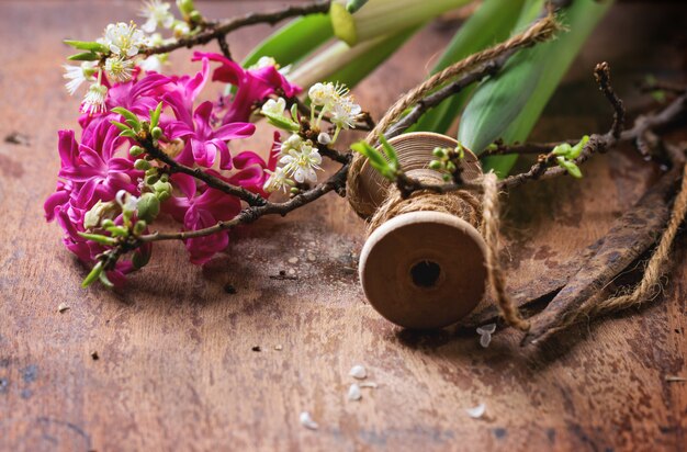 Blossom branch