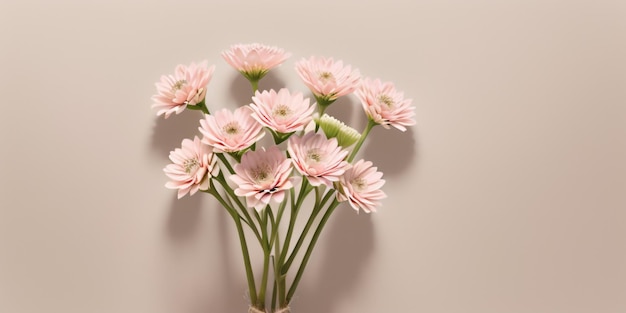 白い背景に花の輝きの花