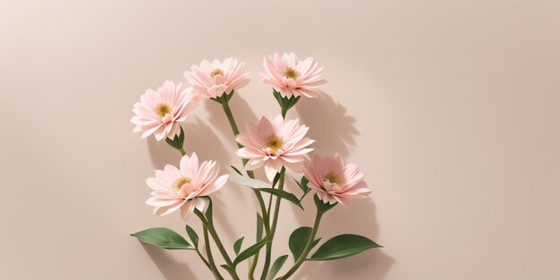 Blossom's radiance flower on a white background