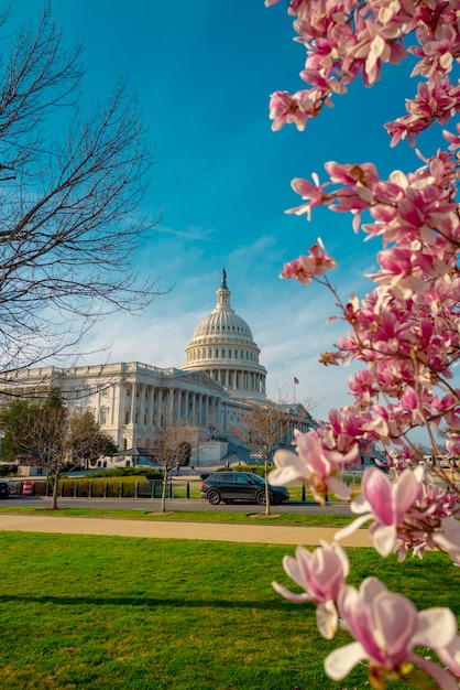 워싱턴 D.C.에 있는 블로섬 스프링 (Blossom Spring) 은 미국 의회 건물인 스프링에 있는 캐피톨 빌딩 (Capitol Building) 이다.