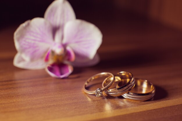 Blossom and wedding rings