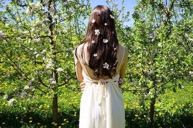 Blossoming apple orchard in spring Beautiful girl with brown hair in a blooming apple orchard with white flowers