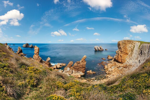 Photo blossoming atlantic ocean coastline