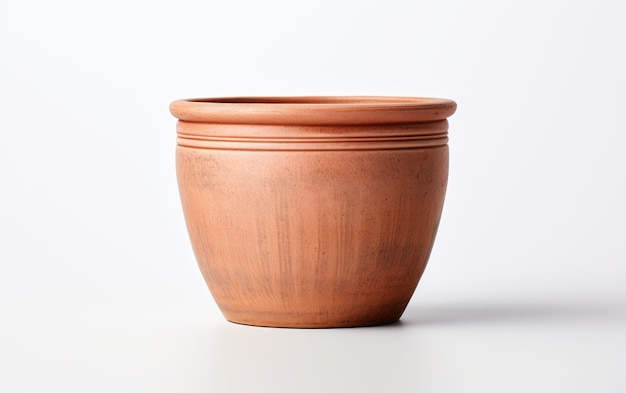 Photo blossoming beautythe role of the flowerpot isolated on a white background