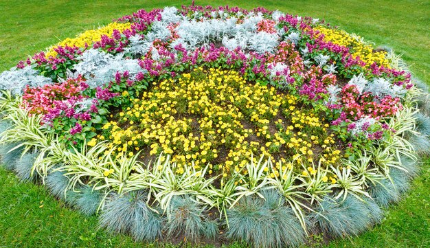 Blossoming colorful flowerbeds in autumn city park