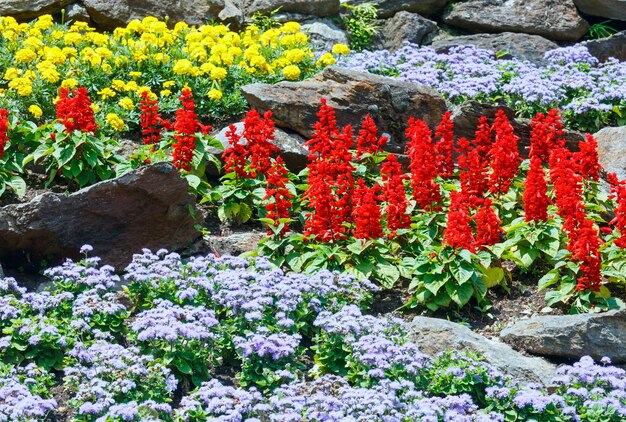 夏の都市公園に咲く色とりどりの花壇