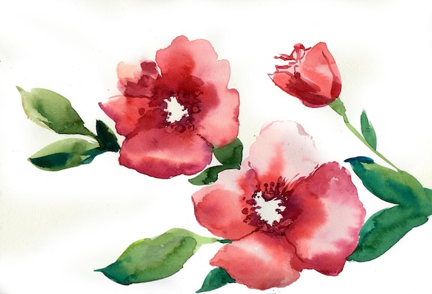 Blossoming flowers. Watercolor painting